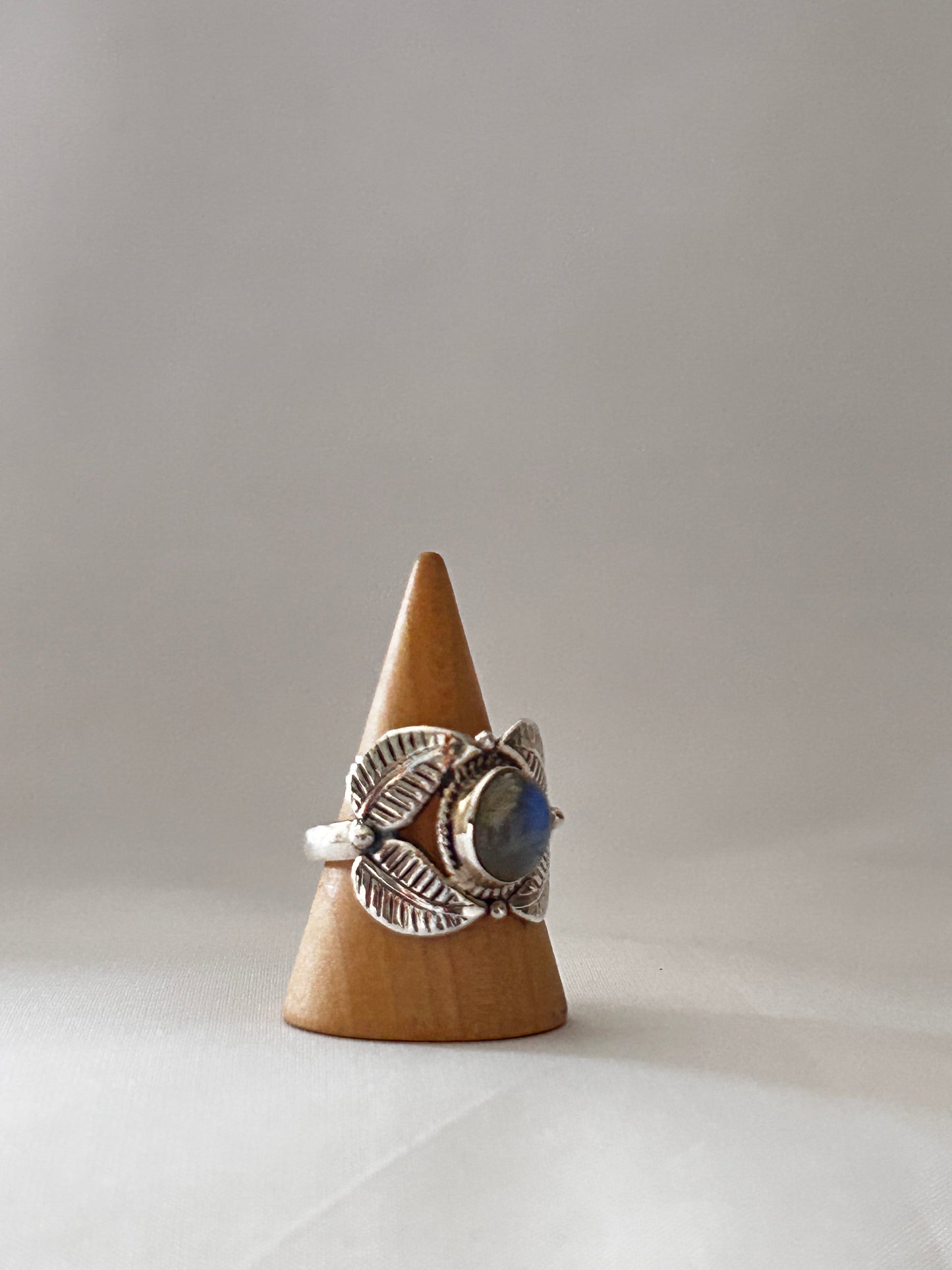 Anillo doble ojo labradorita
