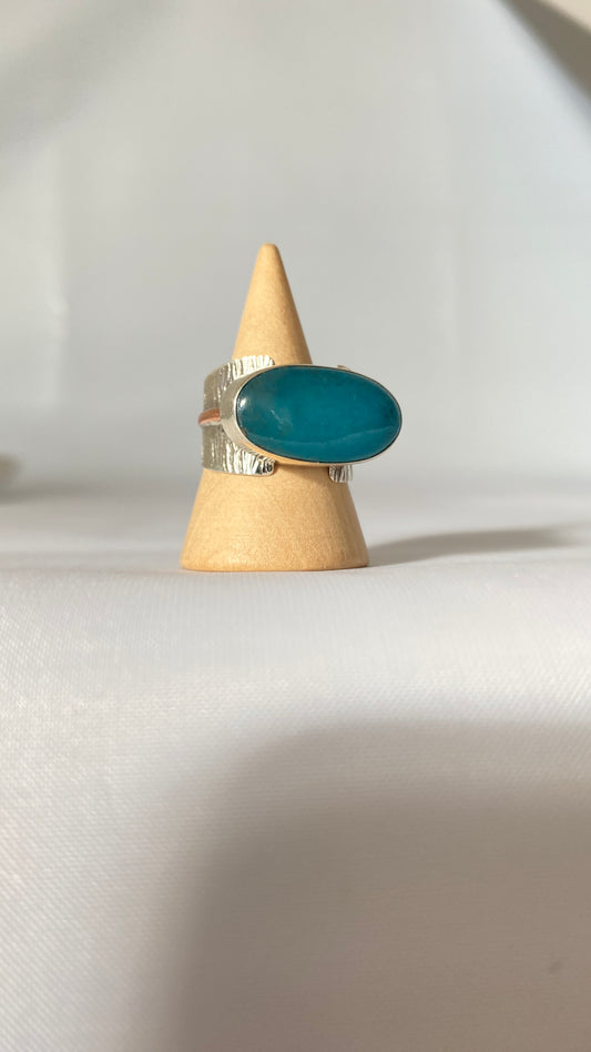 Anillo transversal