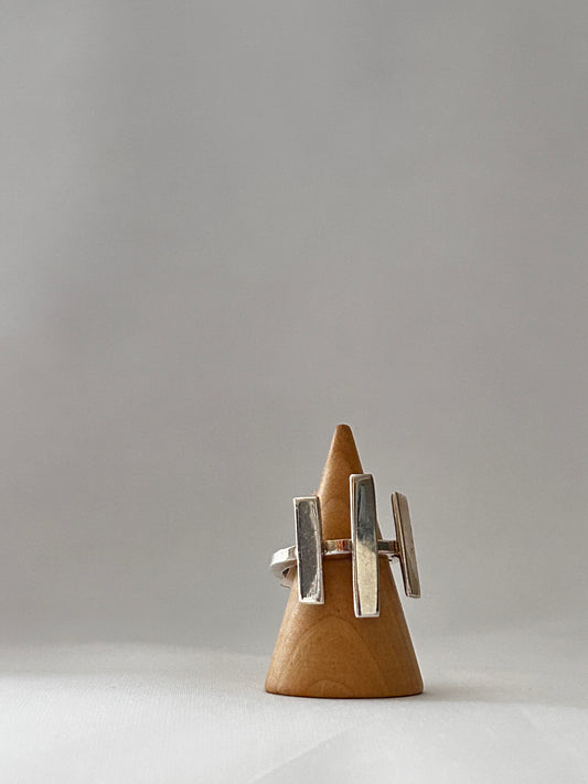 Anillo reja